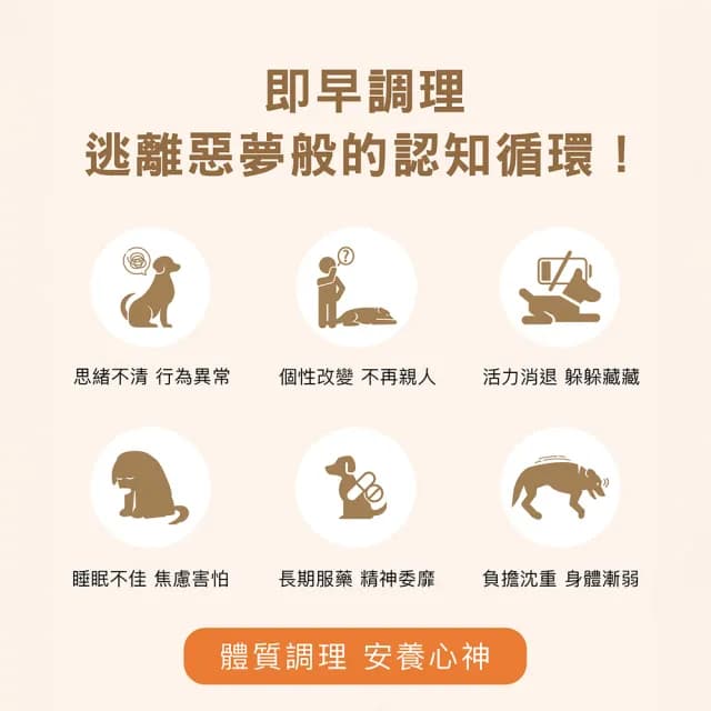 【HOMI 毛與家】智多星 熟齡思緒保健粉-30包x5盒(高齡 延緩老化 補氣養心 狗保健品 貓保養品 犬貓適用)