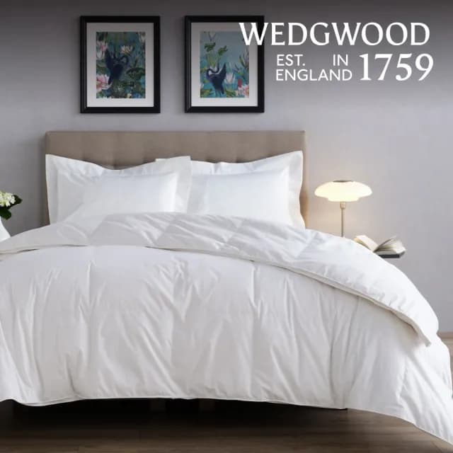 【WEDGWOOD】80%雅品白鴨絨 抗菌羽絨舒眠被(雙人180x210cm)