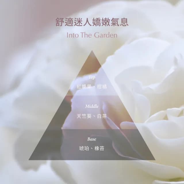 【TRIFORCE 翠芙思】白茶柔淨全日組 慕斯贈品牌束口袋(私密處清潔 潤滑液 私密處保養 私密濕巾 長效水潤)
