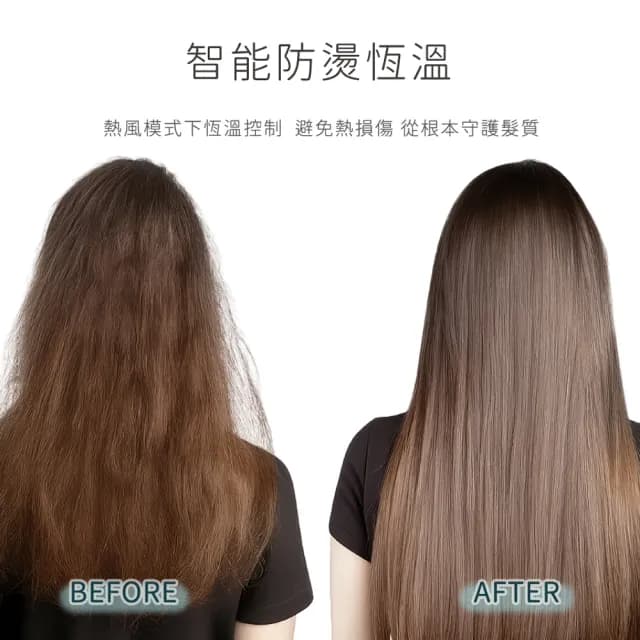 【SAMPO 聲寶】等離子吹風機(ED-B24101FL)