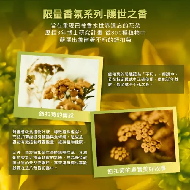 【L’Occitane 歐舒丹】官方直營 隱世之香鈕扣菊香水50ml(限量)