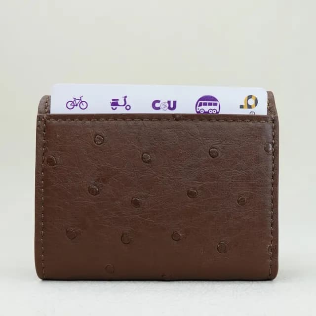 【M2ND】雙11 漪潔鴕鳥皮短夾零錢包(咖啡-T71A)