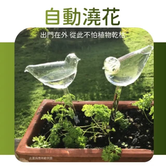 【阿蔦日記】PVC自動小鳥澆花器(透明款 滴水器 外出使用 懶人澆花 園藝用品 植物盆栽 澆水器 自動滴水器)
