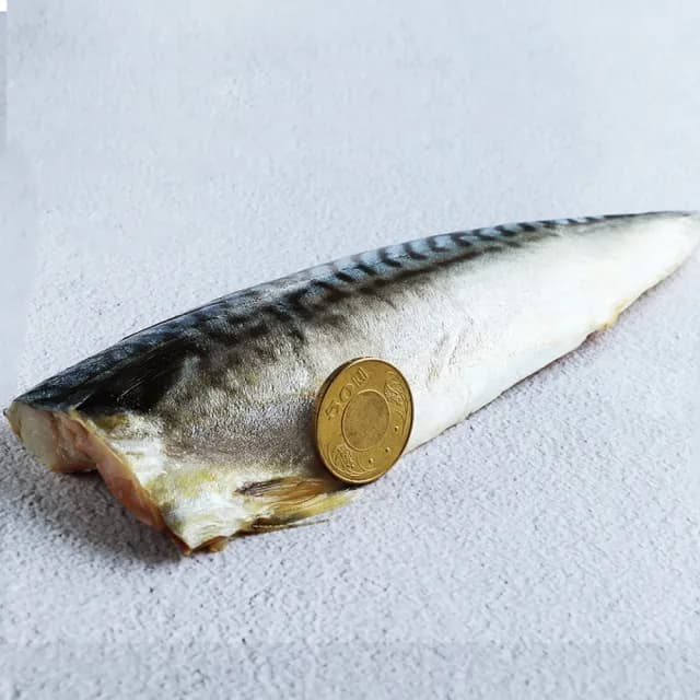 【優鮮配】厚片超大油質豐厚挪威薄鹽鯖魚10片(210g/片 中秋、中秋烤肉、燒烤)