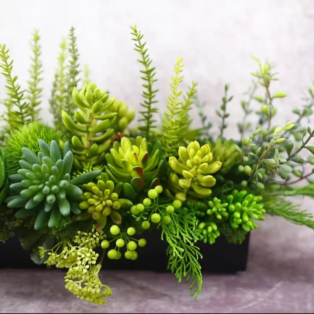 【HUGO DECO 榆果傢飾】多肉植物組合香氛植栽  免運專人配送限雙北市(開幕/擬真花/佈置/新居落成/送禮)
