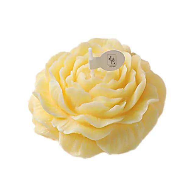 【AMARA】花開為妳系列蠟燭(香氛蠟燭 花 生日 聖誕 交換 情人節禮物)