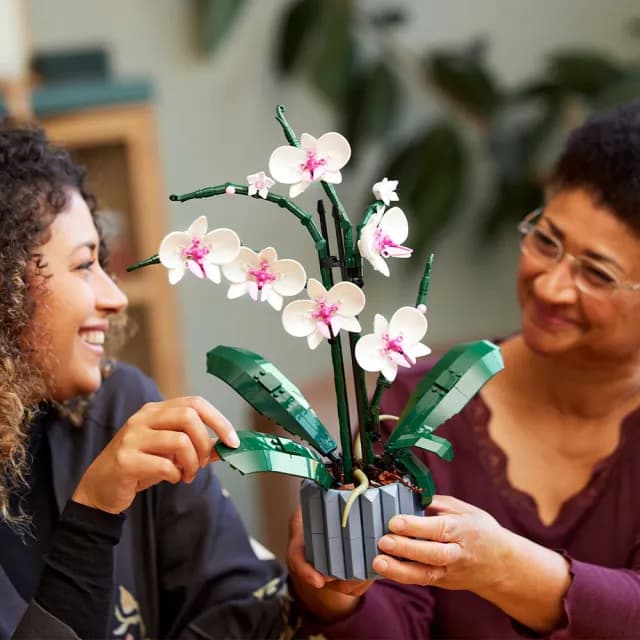 【LEGO 樂高】Botanicals 10311 蘭花(花藝 植栽 居家擺設 DIY 情人節禮物)