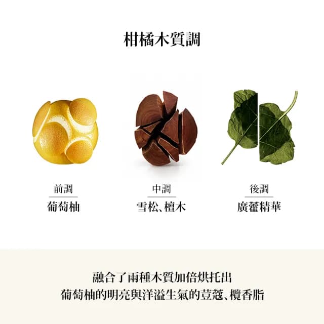 【ISSEY MIYAKE 三宅一生】官方直營 一生之水木頭木頭男性淡香精 100ml(限量半價直降組)