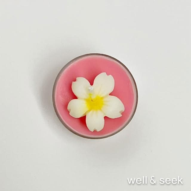 【BLANCHI 白祁】聖誕茶蠟禮盒_1入/內含5顆小蠟燭(聖誕禮物/香氛蠟燭/交換禮物)