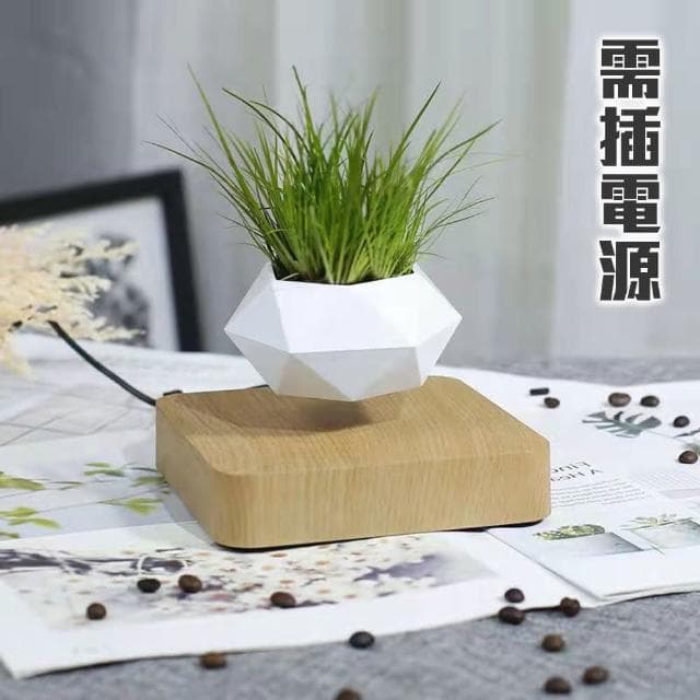 神奇！懸空的植物擺飾 懸浮盆栽 磁浮 飛起來(布置 花盆 觀葉 造景 辦公室 送禮 交換禮物 入厝禮)