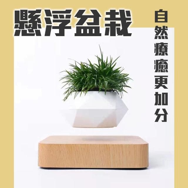 神奇！懸空的植物擺飾 懸浮盆栽 磁浮 飛起來(布置 花盆 觀葉 造景 辦公室 送禮 交換禮物 入厝禮)