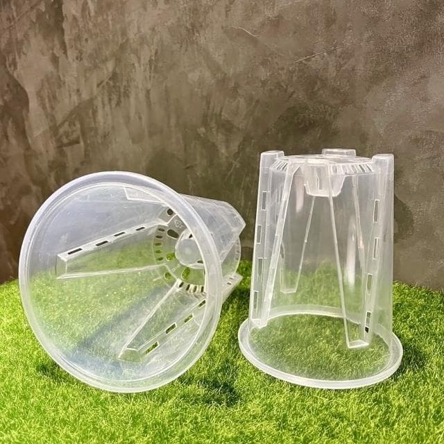 《斑啾植選》內建空氣柱透明高腳盆｜16cm(控根盆｜觀葉專用盆｜蘭花盆｜觀葉植物｜雨林｜白龜｜斑葉｜龜背芋｜室內植物｜盆栽)