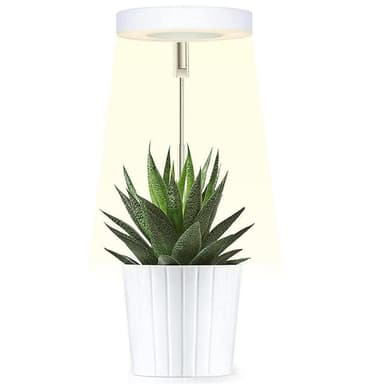 多肉植物補光燈 伸縮補光燈 LED植物生長燈 定時植物燈 天使環植物生長燈 多肉燈 天使光環 植物燈 盆栽燈