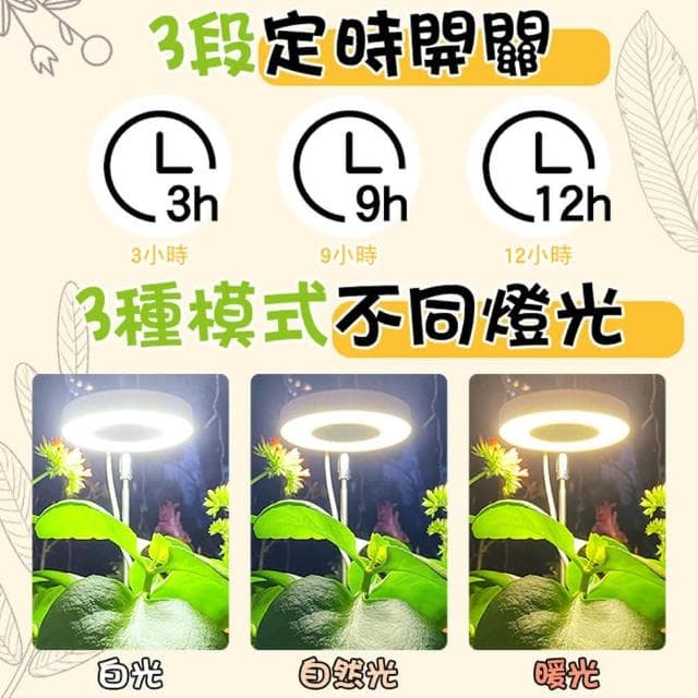多肉植物補光燈 伸縮補光燈 LED植物生長燈 定時植物燈 天使環植物生長燈 多肉燈 天使光環 植物燈 盆栽燈