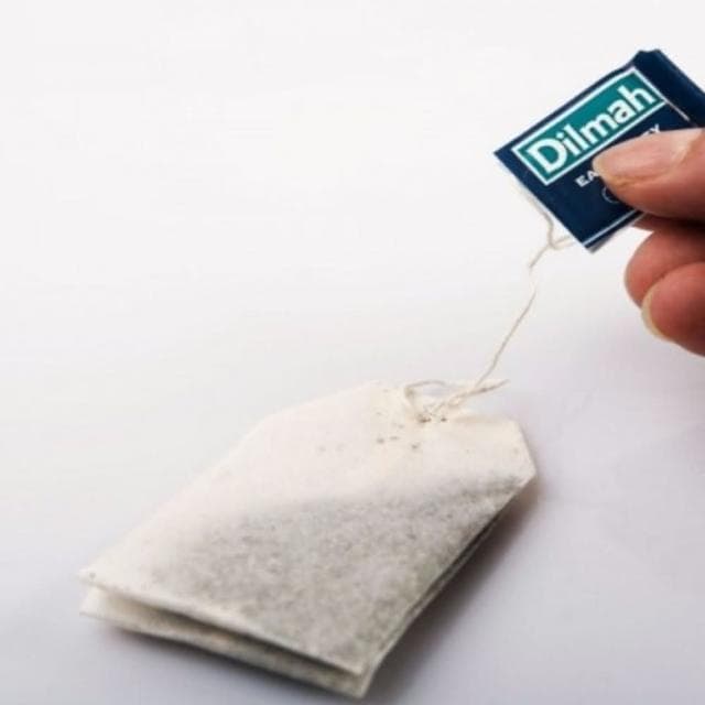 【Dilmah 帝瑪】伯爵紅茶100入(帝瑪伯爵紅茶 伯爵紅茶 伯爵茶 帝瑪伯爵茶)