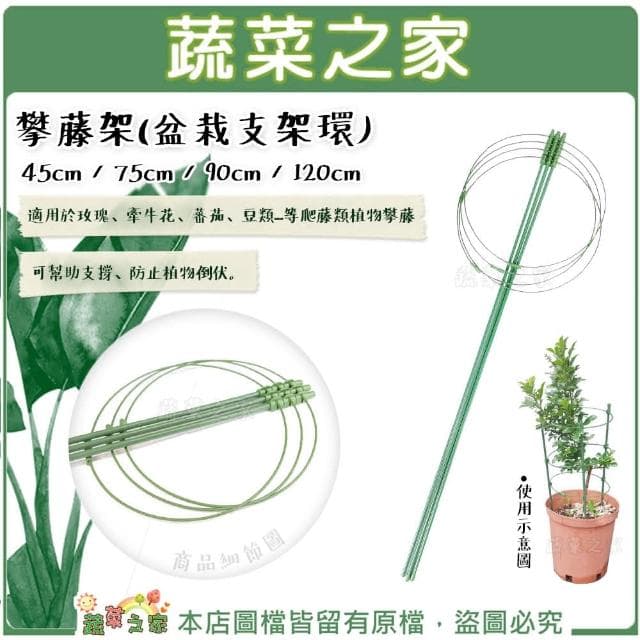 【蔬菜之家】攀藤架盆栽支架環爬藤架90公分瓜架、植物架、支架