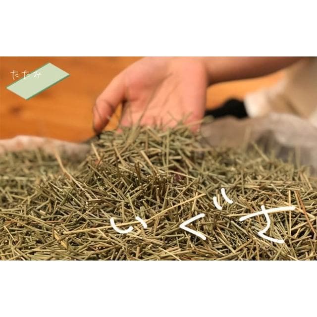 【IKEHIKO】九州之味藺草除臭包 ｜新年送禮 長效除臭 藺草榻榻米 材質天然 淨化空氣 廁所 鞋 居家必備  居家生活 雜誌推薦
