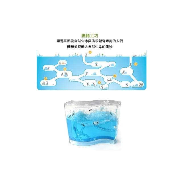 孩子禮物 禮物 螞蟻城堡生態 螞蟻家園 螞蟻日記生態教學玩具(中) 螞蟻工房 親近大自然的玩具 螞蟻城堡迷宮 螞蟻工坊 無螞蟻 學生禮物