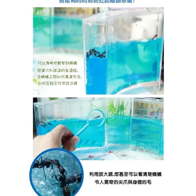 孩子禮物 禮物 螞蟻城堡生態 螞蟻家園 螞蟻日記生態教學玩具(中) 螞蟻工房 親近大自然的玩具 螞蟻城堡迷宮 螞蟻工坊 無螞蟻 學生禮物