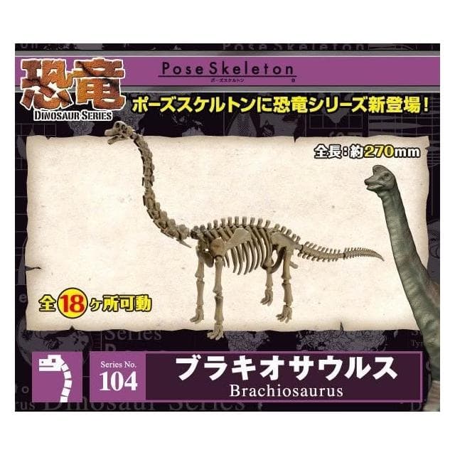大旺小舖:日本正版Re-Ment食玩骨頭人骨頭恐龍腕龍No.104科學教具搭配黏土人生日結婚母親節情人節聖誕交換禮物
