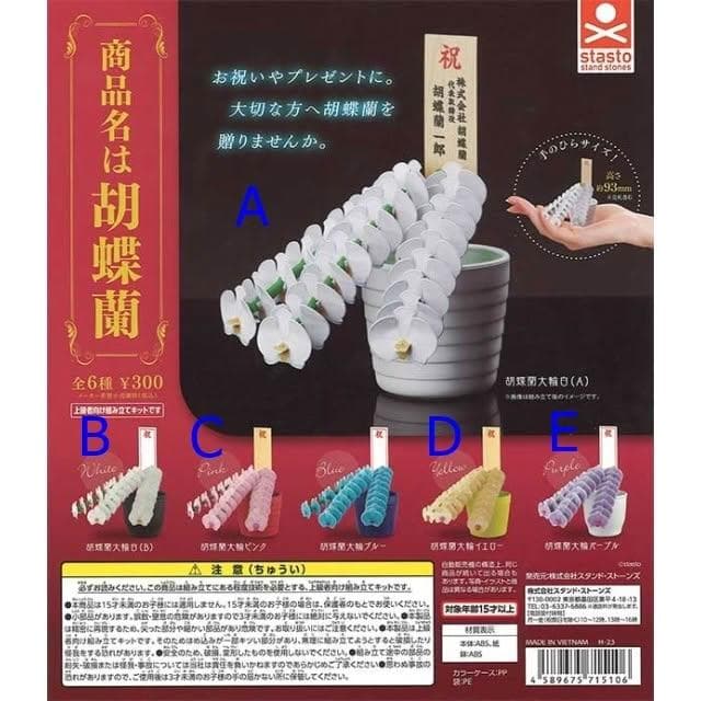 大旺小舖:台北現貨轉蛋 蝴蝶蘭 一套6款 生日結婚母親節情人節聖誕交換禮物 實體店面