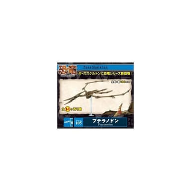 大旺小舖:日本正版Re-Ment食玩骨頭人骨頭恐龍無齒翼龍No.105科學教具搭配黏土人生日結婚母親節情人節聖誕交換禮物