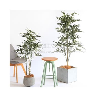 仿真綠植孔雀木假樹盆栽室內客廳落地仿真植物假樹假綠植