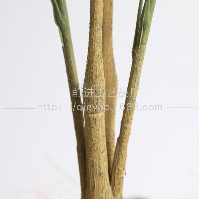 仿真綠植孔雀木假樹盆栽室內客廳落地仿真植物假樹假綠植