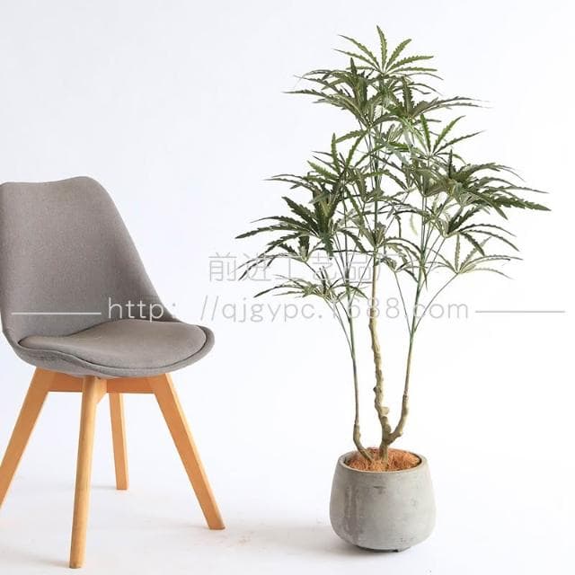 仿真綠植孔雀木假樹盆栽室內客廳落地仿真植物假樹假綠植