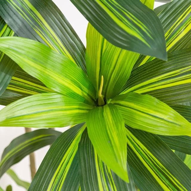 仿真綠植巴西木盆栽室內家居裝修植物擺件仿真樹巴西鐵落地盆景