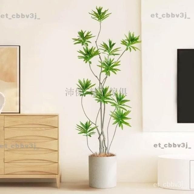 熱賣🌈大型仿真綠植仿生盆栽百閤竹假樹植物高端輕奢室內客廳裝飾花擺件 盆栽 居傢裝飾 仿真植物 人造樹 假樹 假植物