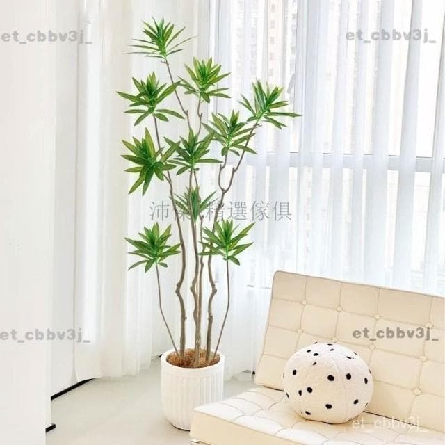 熱賣🌈大型仿真綠植仿生盆栽百閤竹假樹植物高端輕奢室內客廳裝飾花擺件 盆栽 居傢裝飾 仿真植物 人造樹 假樹 假植物