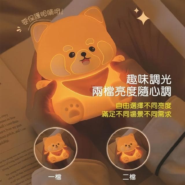 Cstar 創意小浣熊夜燈 LD78 聖誕禮物 小夜燈 交換禮物 可愛小夜燈