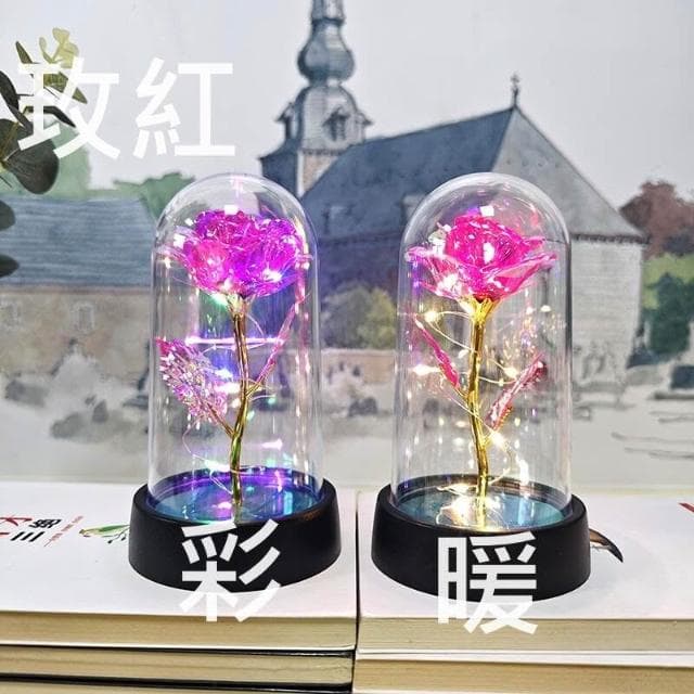 ZM 永生花 母親節禮物 情人節禮物 畢業禮物 玻璃罩玫瑰 金箔玫瑰花 ZM-00609