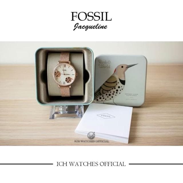 【FOSSIL】ICHco 實體門市 美國FOSSIL Three-hand Jacqueline系列花漾年華貝母系列女錶-手錶聖誕禮物情人節禮物生日