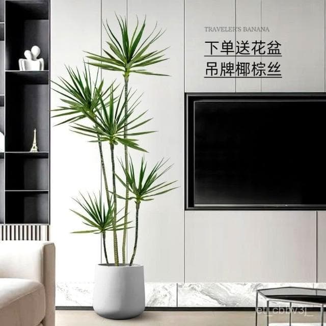 熱賣🔥輕奢仿真綠植假植物仿真花韆年木室內盆栽龍血樹客廳裝飾擺件落地 盆栽 居傢裝飾 仿真植物 人造樹 假樹 假植物