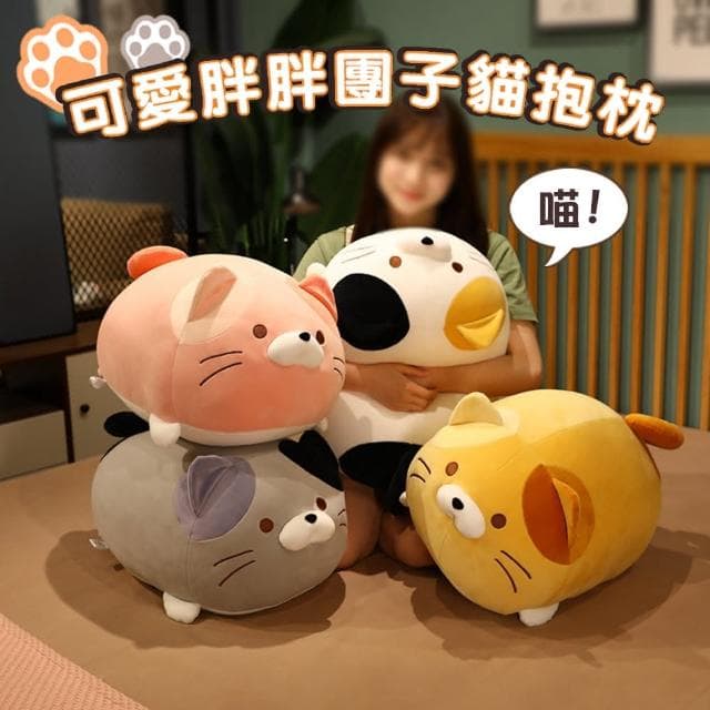 可愛胖胖團子貓抱枕 貓咪玩偶靠枕 生日禮物 聖誕節
