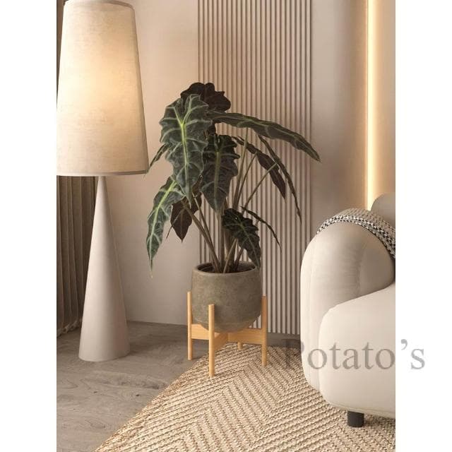 免運~簡約花架 花盆支撐架 啊放架托架 多肉盆栽架子 客廳落地式大陽台植物