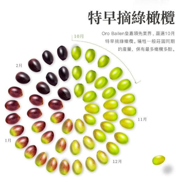 【Oro Bailen 皇嘉】特級冷壓初榨橄欖油 500ml 單入提盒 (任選) Picual Arbequina 禮盒 中秋禮盒 橄欖油禮盒 伴手禮 企業採購 商務禮品 入厝禮
