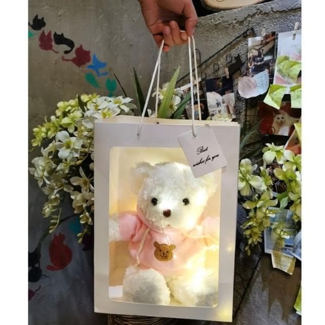12H快速出貨 (氣球快易送)  聖誕節 告白熊熊+滿天星 泰迪熊 小熊玩偶 附銅線燈+手提袋 告白 求婚 交換禮物 泰迪熊