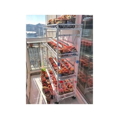 花架 盆栽架 植物架  花含煙 陽臺多肉花架室外落地帶輪移動室內鐵藝露臺多層花架