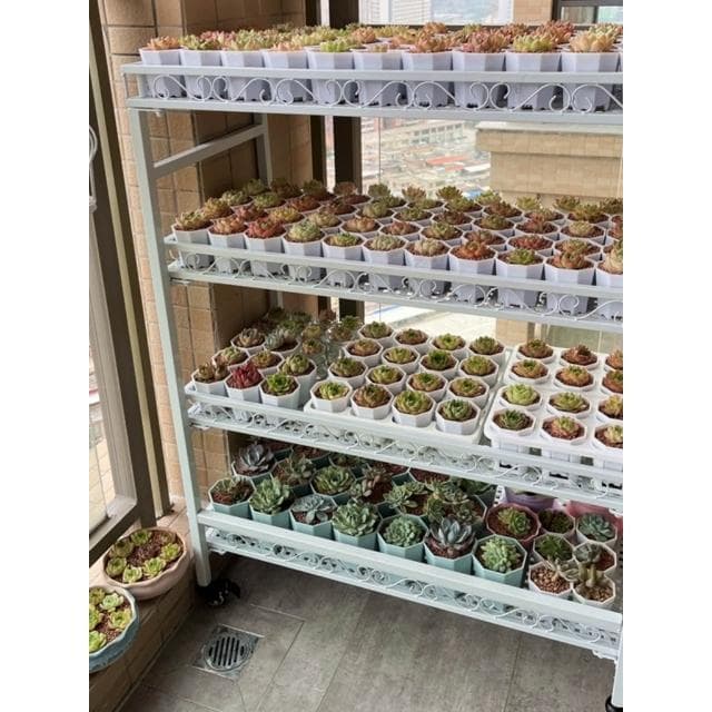 花架 盆栽架 植物架  花含煙 陽臺多肉花架室外落地帶輪移動室內鐵藝露臺多層花架