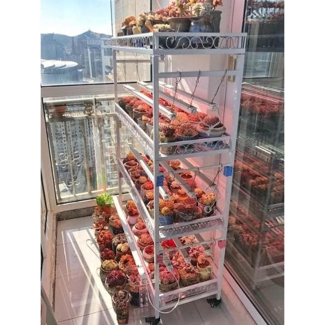 花架 盆栽架 植物架  花含煙 陽臺多肉花架室外落地帶輪移動室內鐵藝露臺多層花架