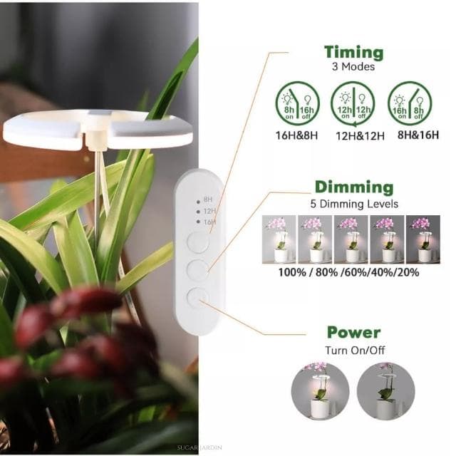 【微糖花植間】Polina植物燈禮物組/禮盒(送禮禮盒/生日禮物/畢業禮物)