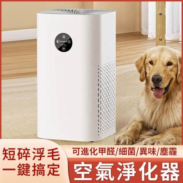 【Felsted 菲仕德】家用臺式負離子空氣淨化器（清淨機 淨化機 去除異味 除臭）