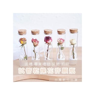 試管乾燥花 畢業禮物 畢業花束 母親節 康乃馨 許願花瓶  花瓶 許願罐花瓶 願望瓶飾 願望儲存瓶(畢業禮物)