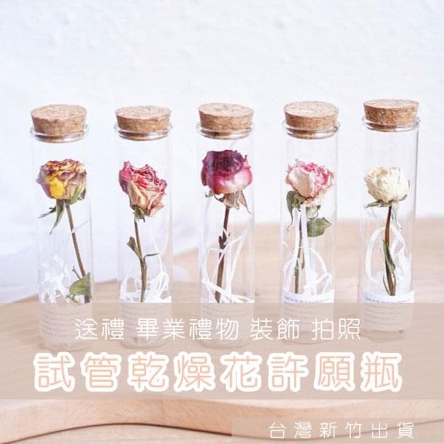 試管乾燥花 畢業禮物 畢業花束 母親節 康乃馨 許願花瓶  花瓶 許願罐花瓶 願望瓶飾 願望儲存瓶(畢業禮物)