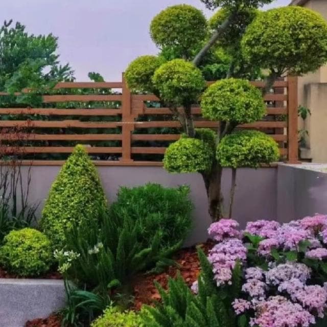 亮晶女貞棒棒糖盆栽花鏡植物球耐寒耐曬四季常青花園庭院別墅