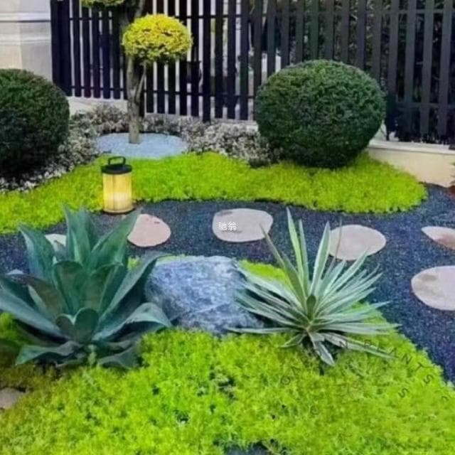 亮晶女貞棒棒糖盆栽花鏡植物球耐寒耐曬四季常青花園庭院別墅