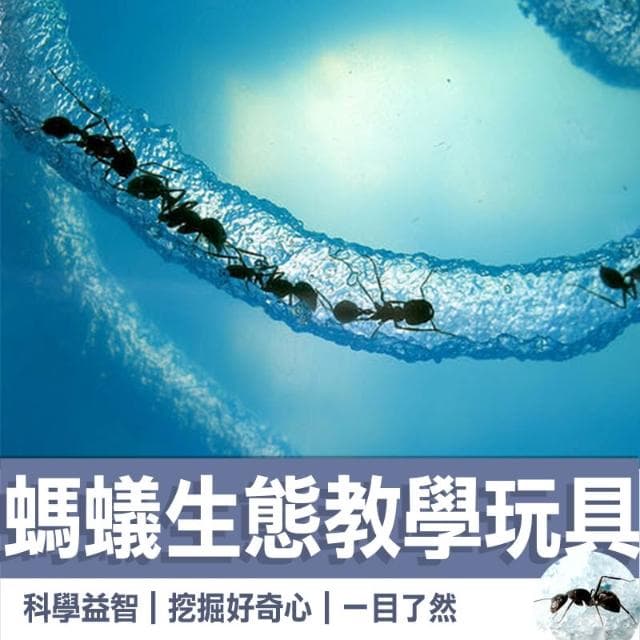 螞蟻工房 親近大自然的玩具 螞蟻城堡迷宮 螞蟻工坊 無螞蟻 學生禮物 螞蟻日記生態教學玩具(中) 孩子禮物 禮物 螞蟻城堡生態 螞蟻家園